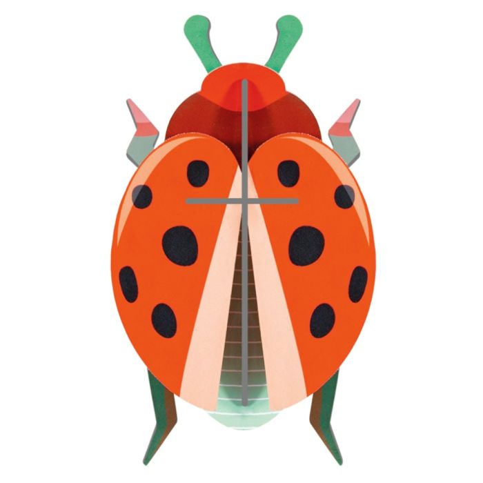 Insetto di Carta - Coccinella main product photo