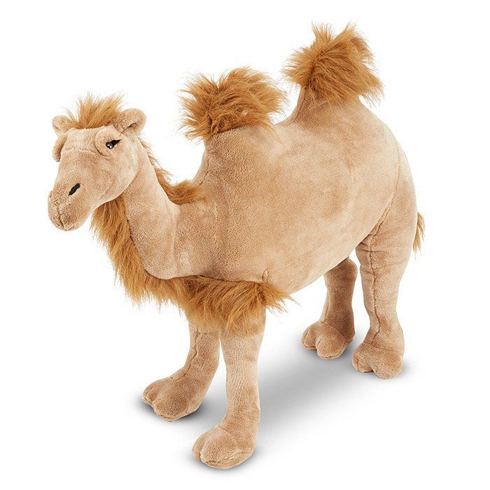 Peluche Cammello Gigante main product photo