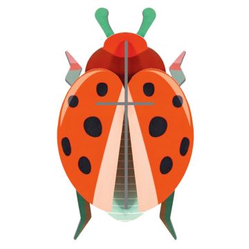 Insetto Carta Coccinella Studio Roof decorazione 3D cartone riciclato 10 pezzi assemblare parete 6 anni - Bindi Giochi
